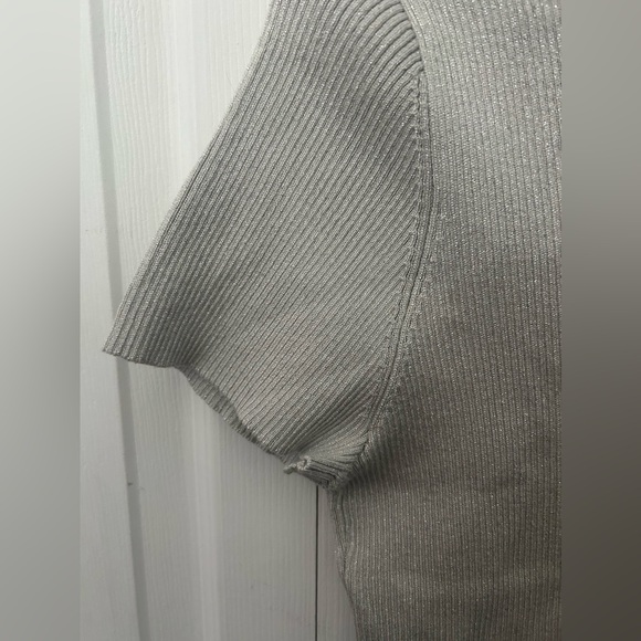 Calvin Klein Silver Short Sleeve High Neck - Picture 5 of 5